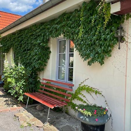 Fewo Im Kneipenviertel Altkoetzschenbroda Radebeul Exteriör bild