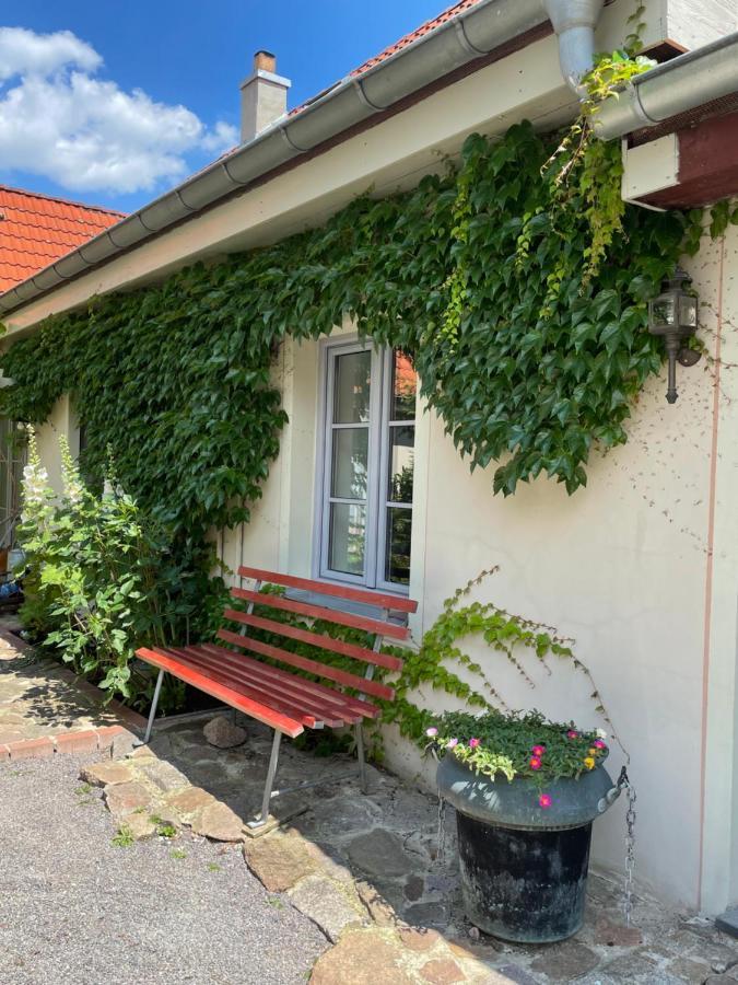 Fewo Im Kneipenviertel Altkoetzschenbroda Radebeul Exteriör bild